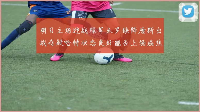 明日主场迎战绿军米罗缺阵唐斯出战存疑哈特状态良好能否上场成焦点