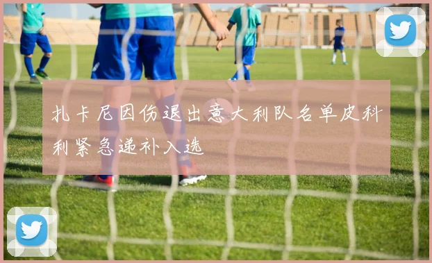 扎卡尼因伤退出意大利队名单皮科利紧急递补入选