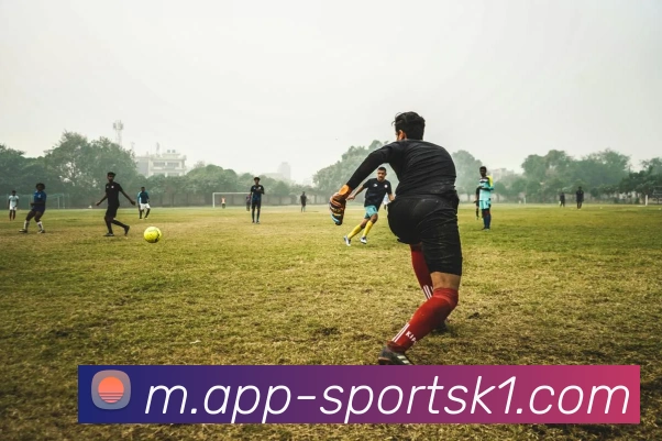 k1体育服务体系